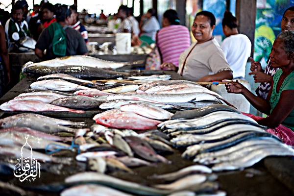 Grosir Ikan Tawar & Laut Di Pondok Kelapa Jakarta