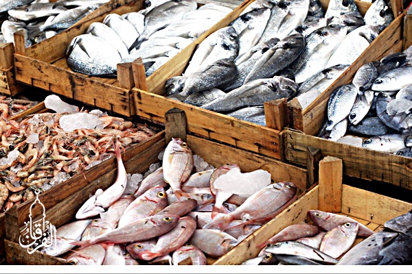 Distributor Ikan Teri Harga Terjangkau kirim ke Sukatani Bekasi