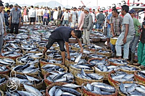 Grosir Ikan Tawar & Laut Di Rawa Badak Jakarta