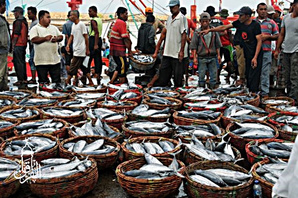 Grosir Ikan Tawar & Laut Di Sepatan Tangerang