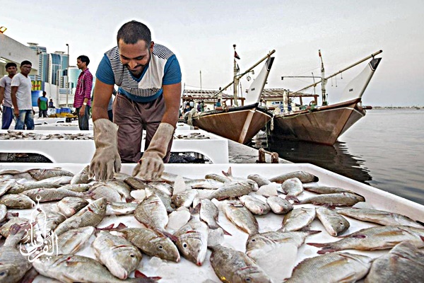 Grosir Ikan Tawar & Laut Di Pondok Gede Bekasi