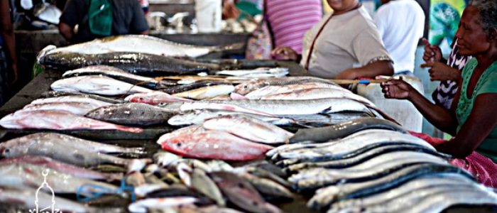 Sedia Ikan Teri Bermutu kirim ke Kebon Jeruk Jakarta