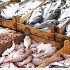 Permalink ke Distributor Ikan Teri Harga Terjangkau kirim ke Sukatani Bekasi
