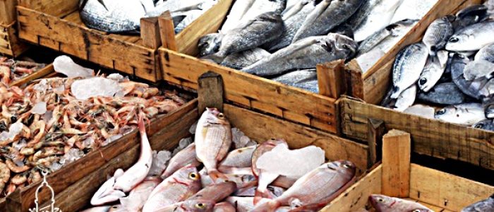 Toko Pusat Ikan Tuna Berkualitas kirim ke Kalijati Subang‎