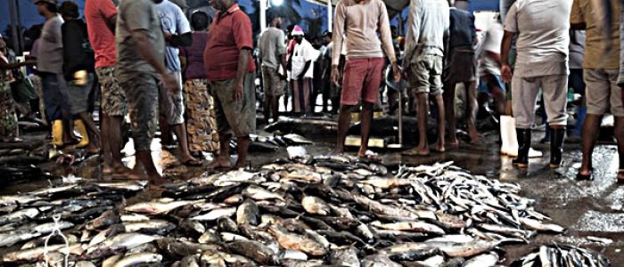 Grosir Ikan Tawar & Laut Di Gunungkaler Tangerang