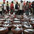 Permalink ke Grosir Ikan Tawar & Laut Di Sepatan Tangerang