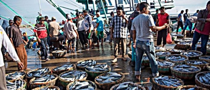 Grosir Ikan Tawar & Laut Di Mekarwangi Bogor