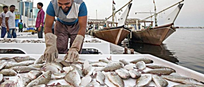 Grosir Ikan Tawar & Laut Di Cisompet Garut