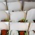 Permalink ke Order Paket Catering Nasi Tumpeng Jumbo Harga terjangkau kirim ke Ciampea BOGOR