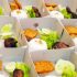 Permalink ke Sedia Paket Catering Nasi Box Untuk Di Caringin BOGOR