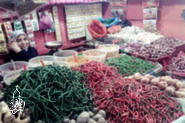 Distributor Sembako Sayuran Di Pancoran Mas Depok