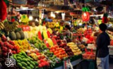 Permalink ke Distributor Sembako Sayuran Di Tegal Panjang BOGOR
