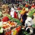 Permalink ke Distributor Sembako Sayuran Di Megamendung BOGOR