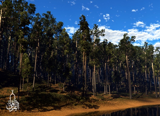 Wisata Alam Hutan Pinus Gunung Pancar