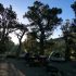 Permalink ke Tempat Wisata Alam Hutan Pinus Gunung Pancar Sentul