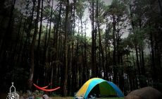 Permalink ke Hutan Pinus Dan Pemandian Air Panas Gunung Pancar – Sentul