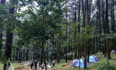 Permalink ke Jasa Sewa Tenda di Gunung Pancar Bogor