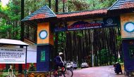 Permalink ke Taman Wisata Alam Gunung Pancar Bogor Jawa Barat