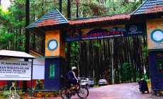 Permalink ke Taman Wisata Alam Gunung Pancar Bogor Jawa Barat
