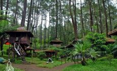 Permalink ke Wisata Gunung Pancar Bogor